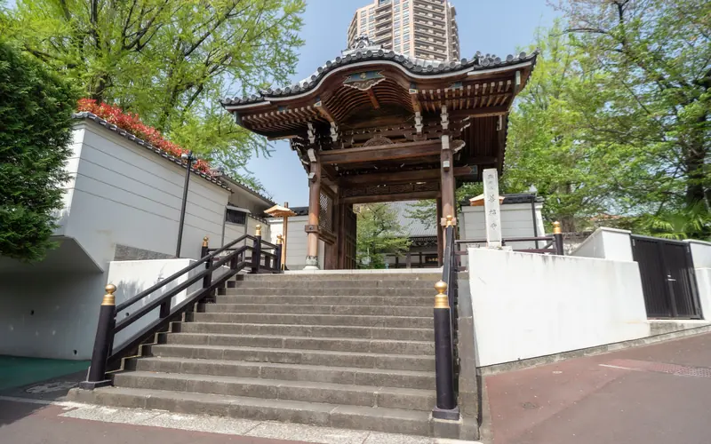 麻布山会館の山門と石段(遠め)