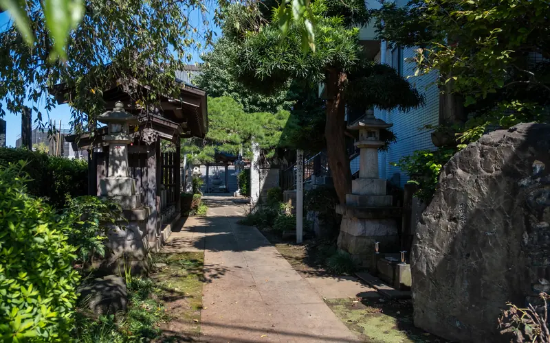 台雲寺会館の境内の参道