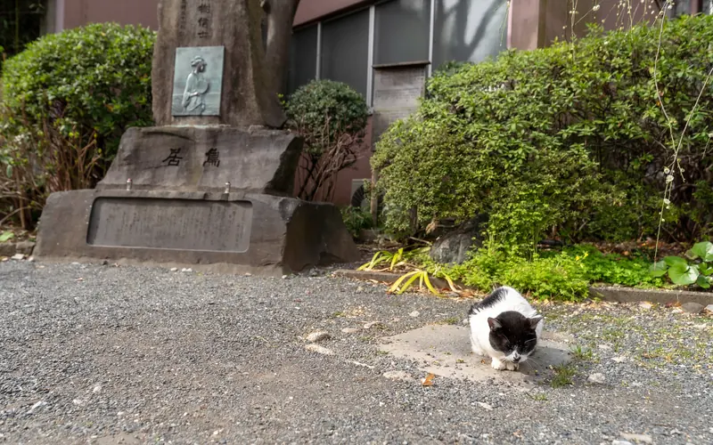 回向院念仏堂の境内の石碑と猫