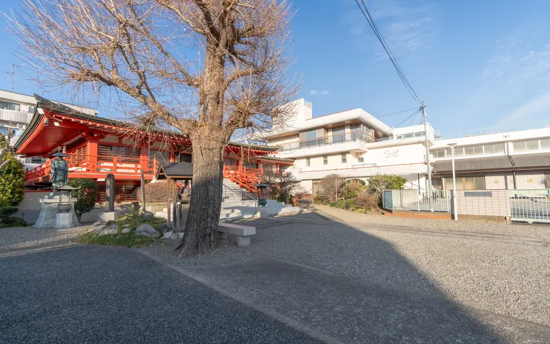 福寿院 西光殿の境内（銀杏の木と本堂）