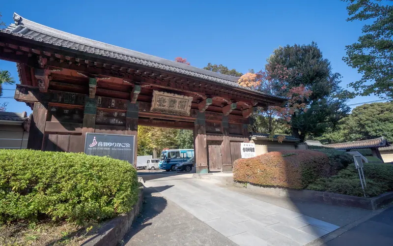護国寺 桂昌殿の惣門(斜め手前から)