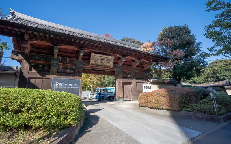 護国寺 桂昌殿の惣門(斜め手前・別カット)