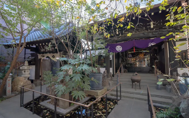 法真寺会館の境内と本堂(斜めから)