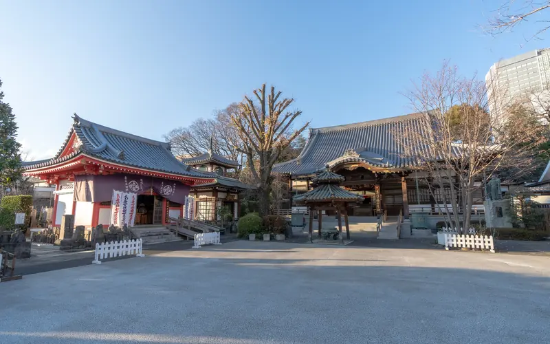 成願寺 長者閣の境内の広場と本堂(別カット)