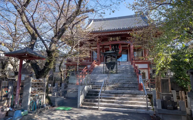 浄心寺会館 さくらホールの本堂と石段