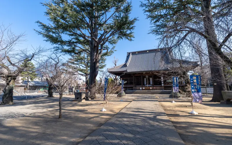 寛永寺輪王殿の境内の参道と本堂