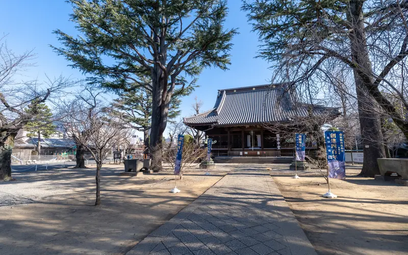 寛永寺輪王殿の境内の参道と本堂（2）