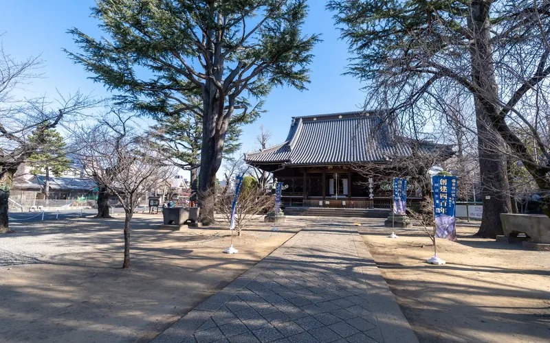 寛永寺輪王殿の境内の参道と本堂（3）