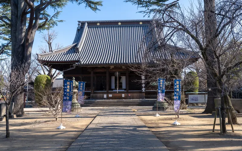 寛永寺輪王殿の参道から見た本堂