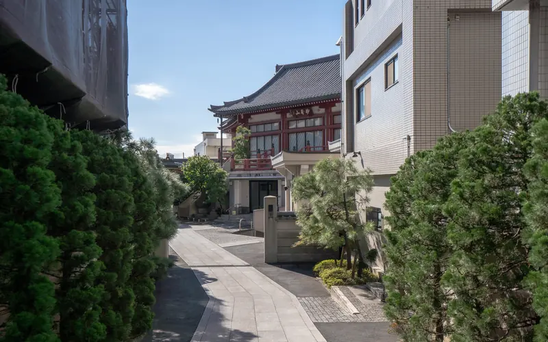 徳雲寺 妙峰会館の参道から会館を望む