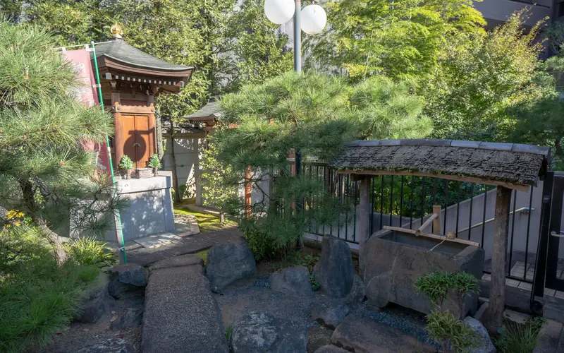 徳雲寺 妙峰会館の境内の庭と手水鉢