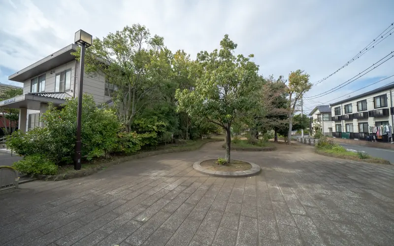 椿中央会館の建物脇の植栽と広場