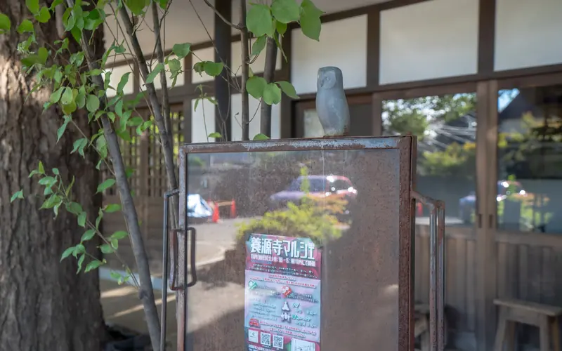 養源寺 白華会館の掲示板と養源寺マルシェ
