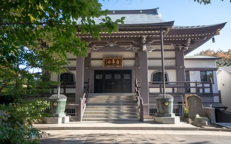 養源寺 白華会館の本堂(木立ごし)